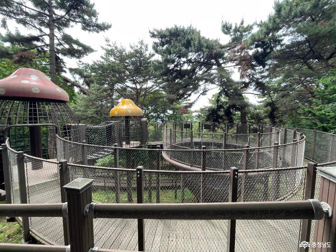 보령 옥마정 산책로 옆 그물놀이터