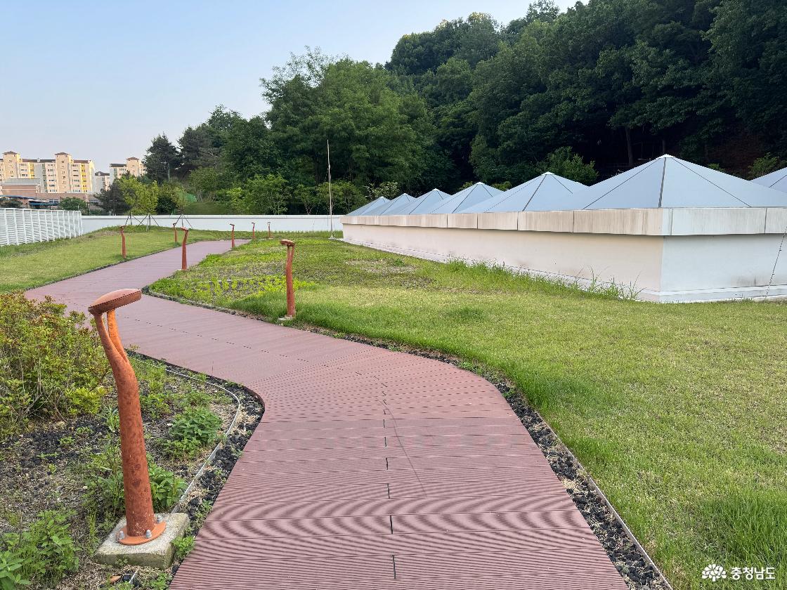노태공원 공영주차장 옥상