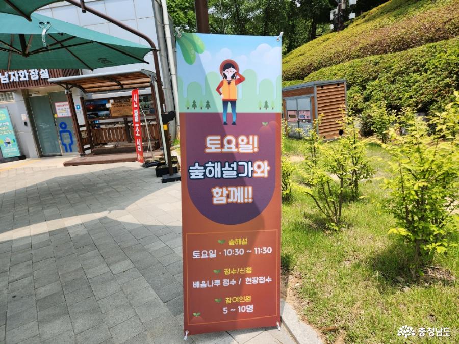 삼선산수목원 토요 숲해설