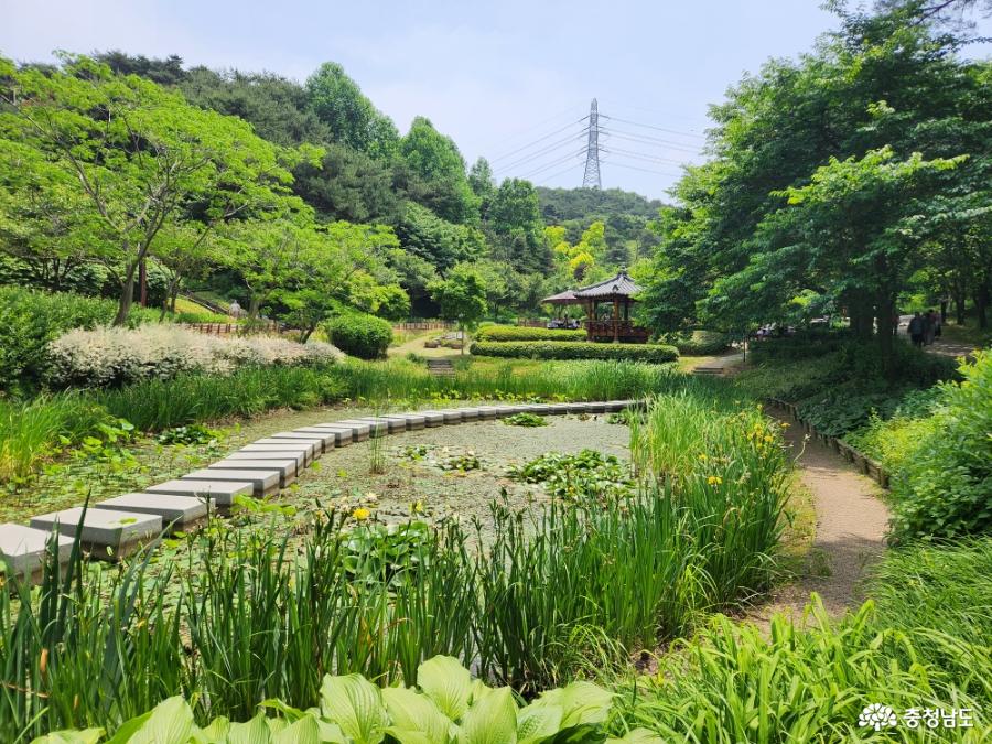 삼선산수목원 연못