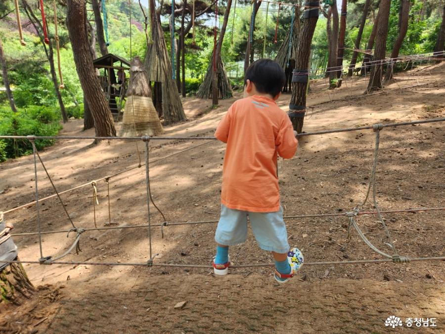 유아숲체험원에서 체험하는 아이