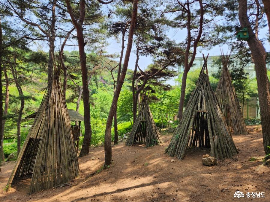 유아숲체험원 나무집