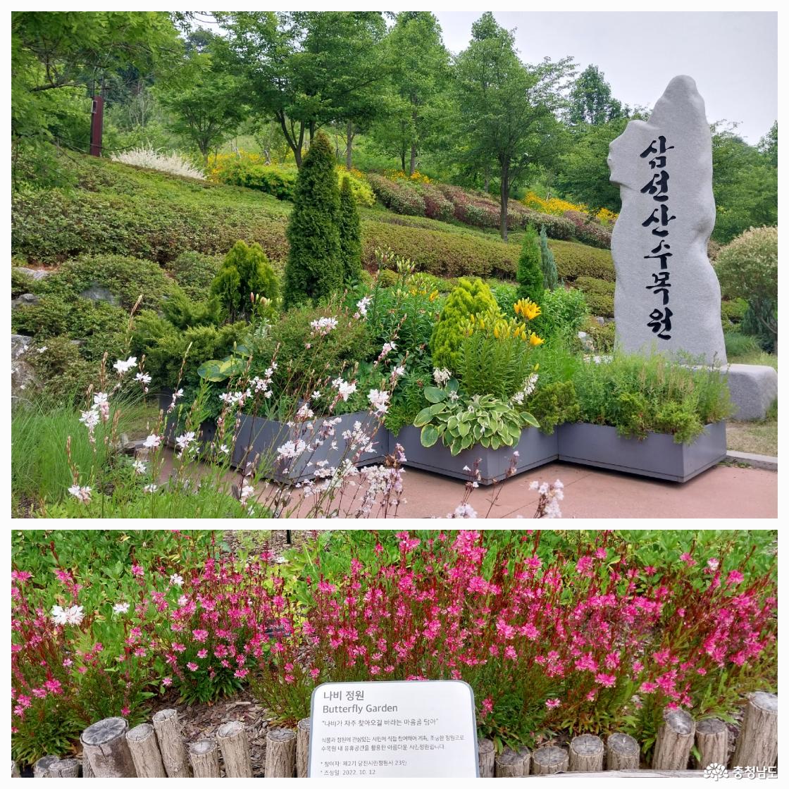 삼선산을 알리는 표지석과 나비 정원