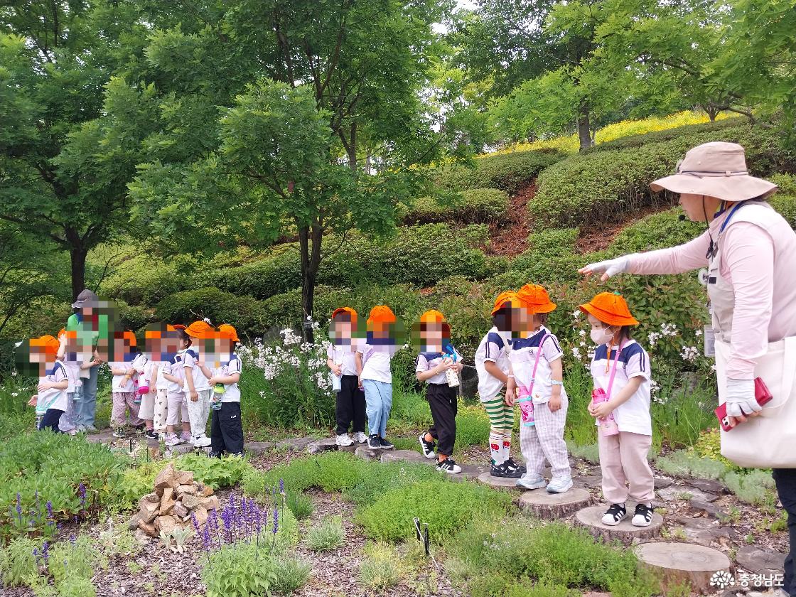 유아들의 자연 체험