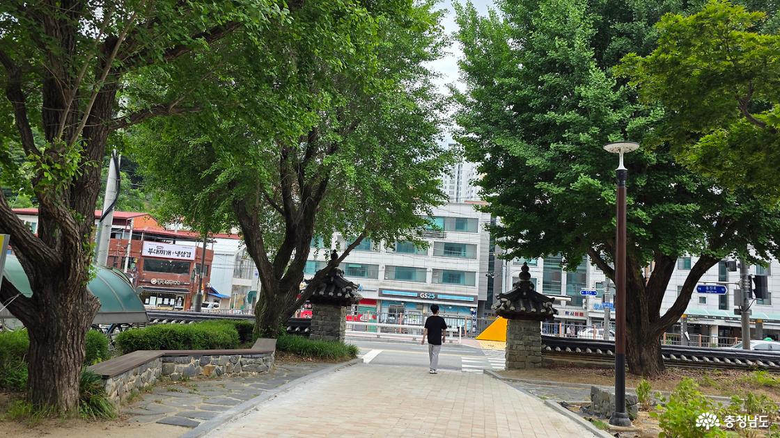 공주교육대학원