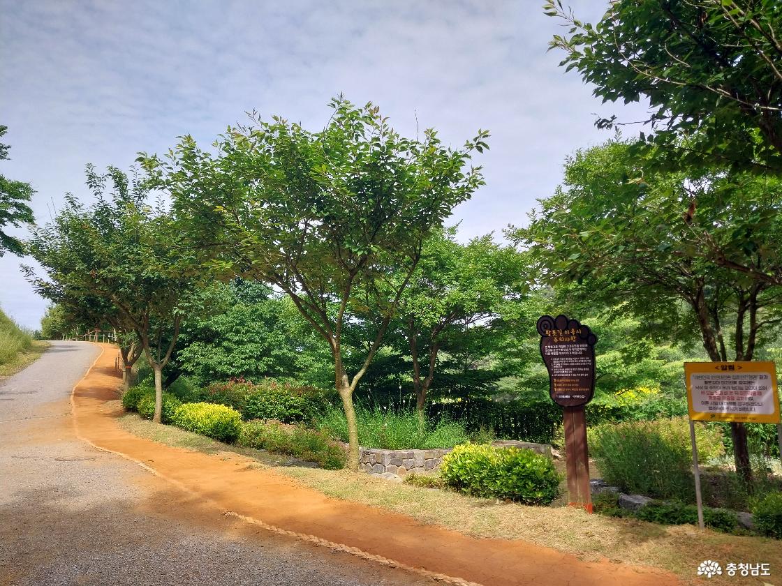 황톳길 걷기