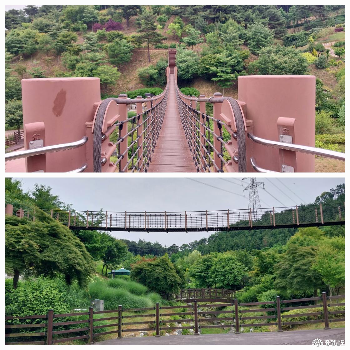 수목원 출렁다리