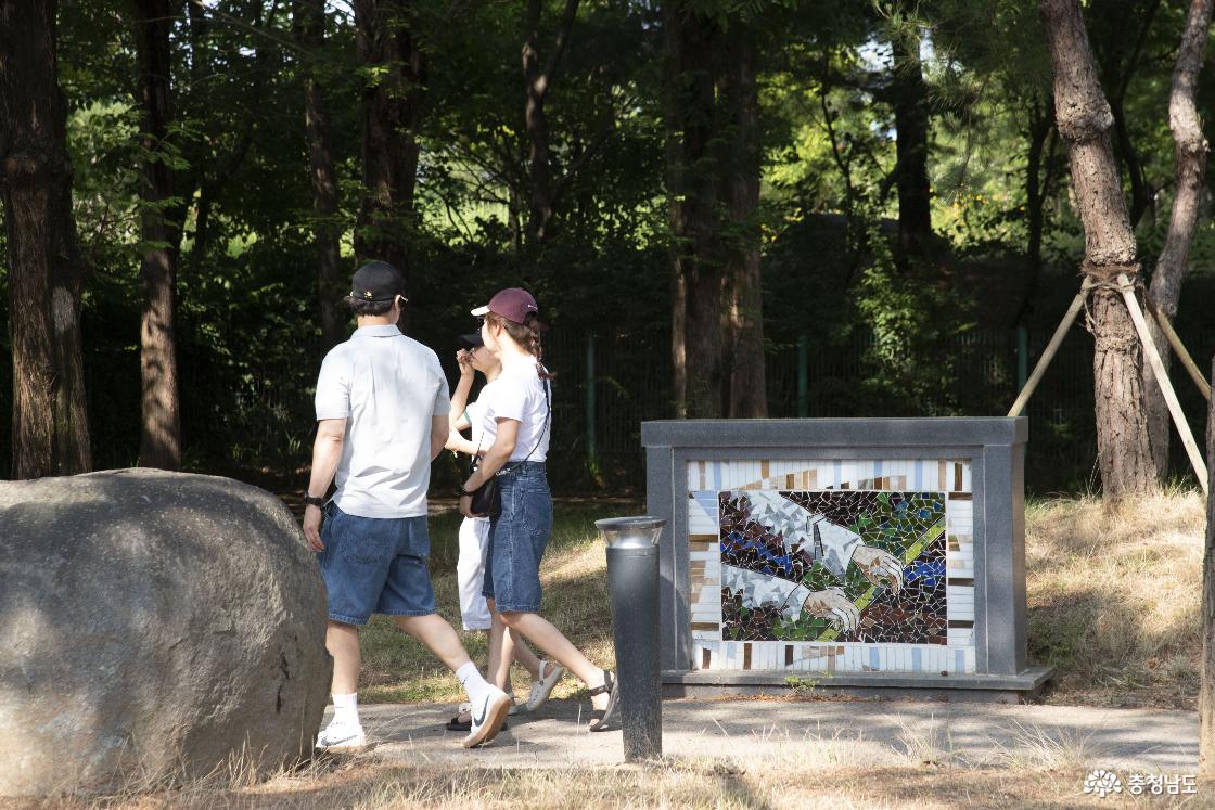 숲 속 산책로