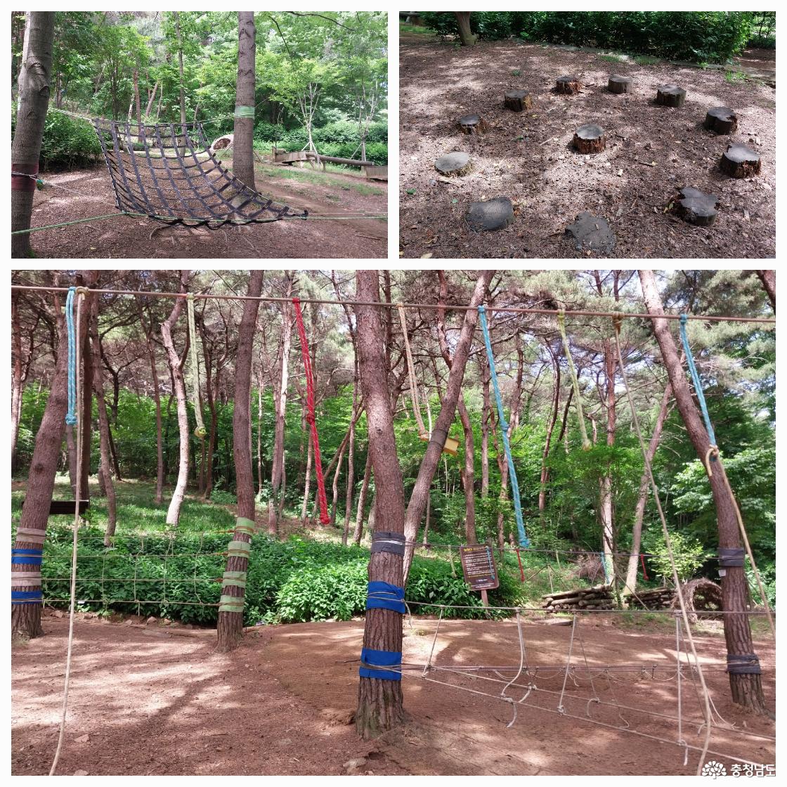 유아 숲 체험원의 놀이기구