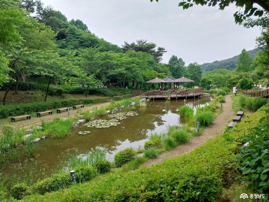 습지원과 생태연못