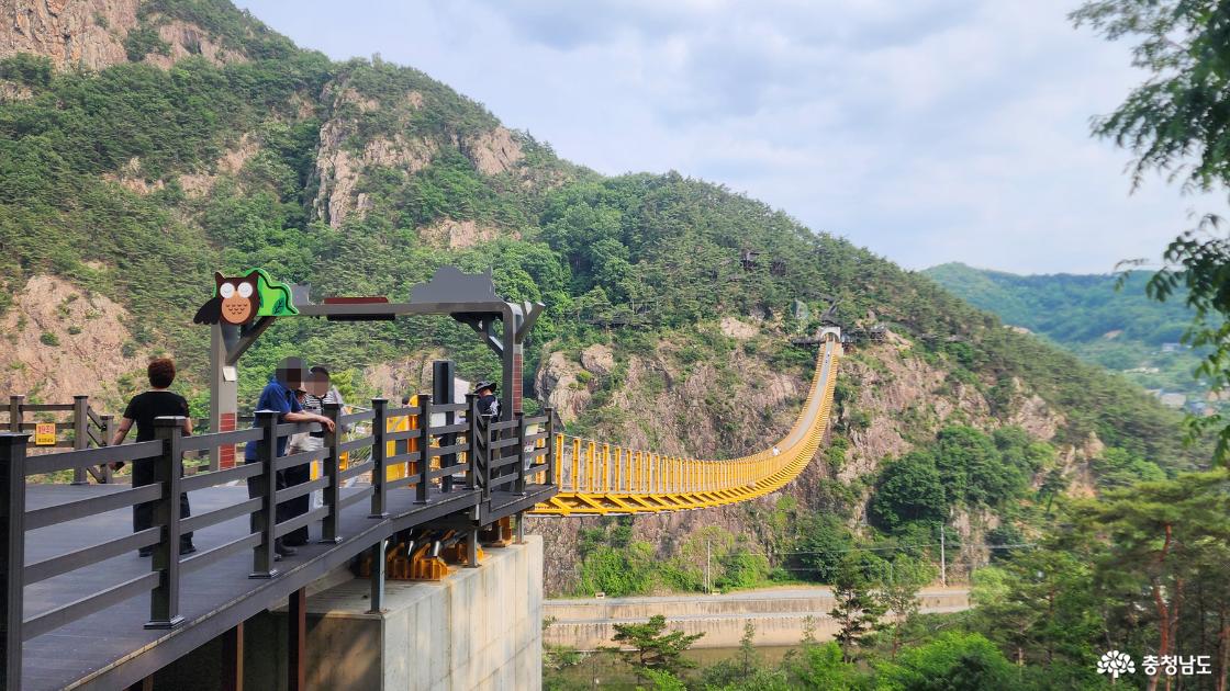 부엉이산에서 본 출렁다리