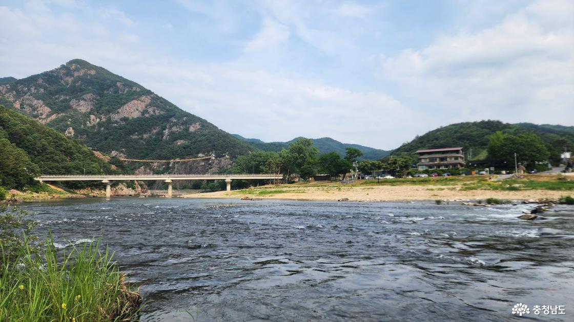 금강과 월영산출렁다리