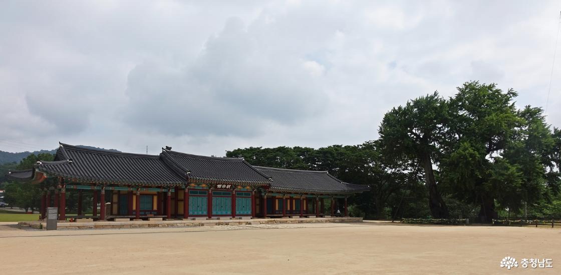 면천객사와 은행나무