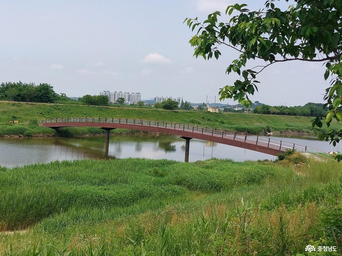 천변 모습