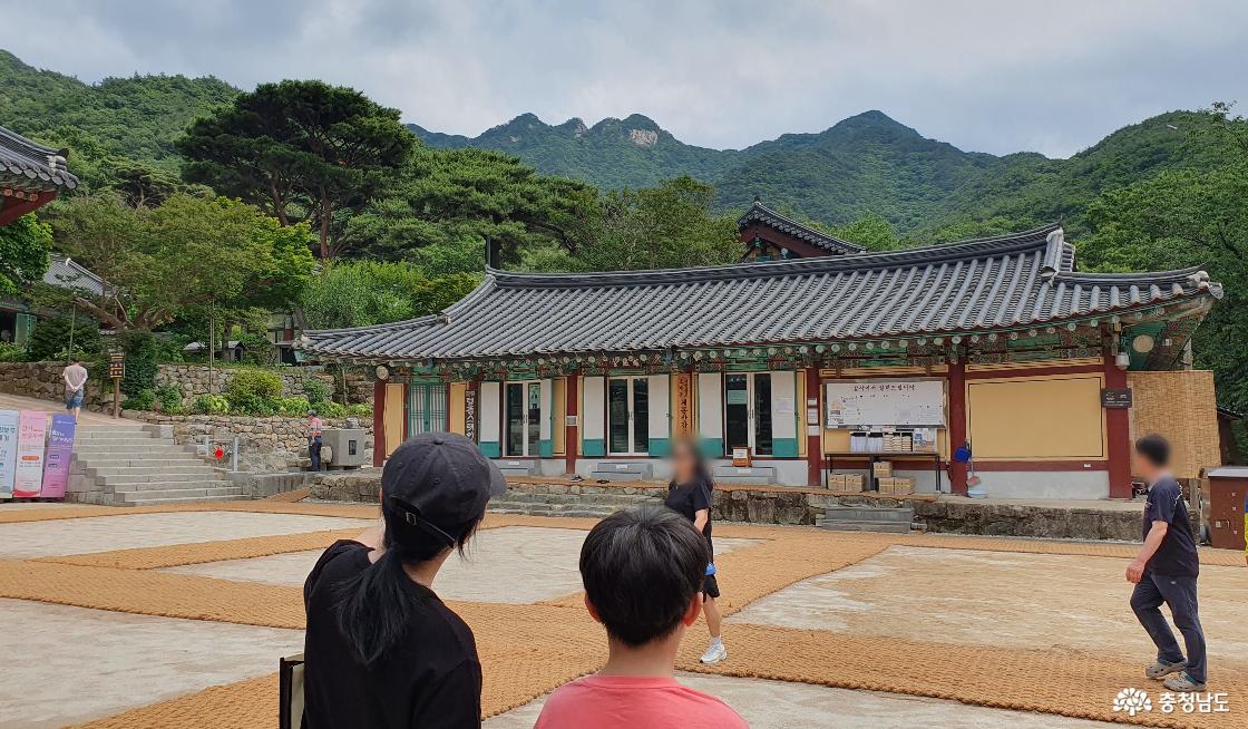 갑사 진해당 앞에서 바라보는 계룡산