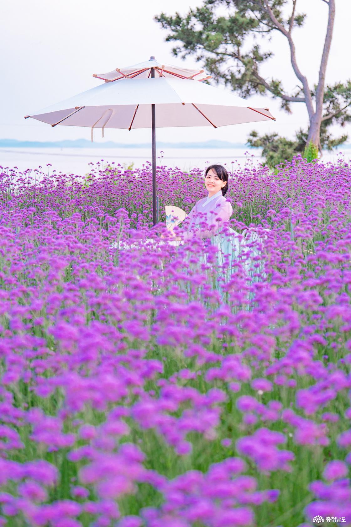 바다 노을이 아름다운 홍성 카페