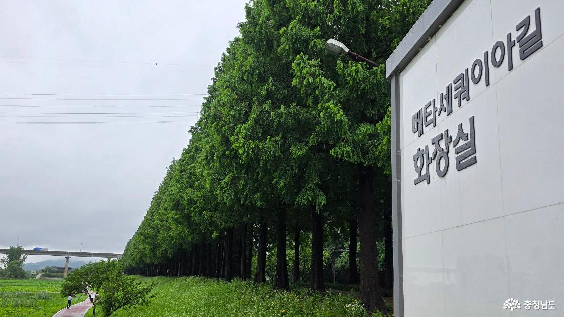 스마트화장실