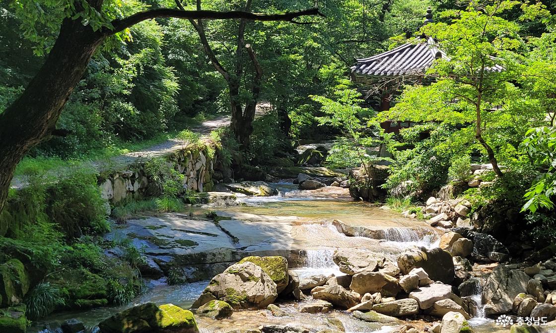 충남의 전통사찰 12. 그 이름만으로 쉼이 되는 곳, 공주 동학사(東鶴寺)