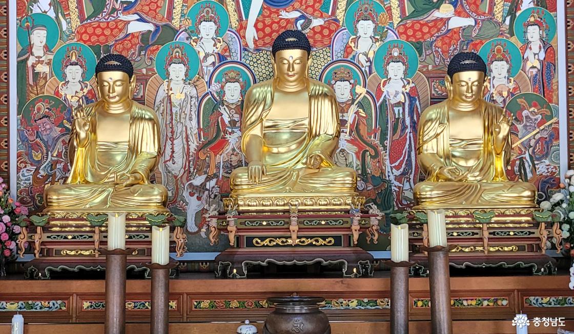 천년고찰 공주시 계룡산 동학사 대웅전 삼존불.