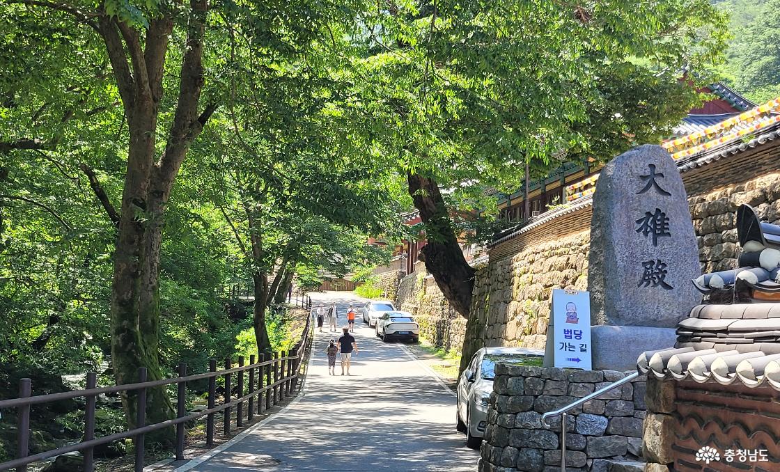 천년고찰 공주시 계룡산 동학사 가람은 계곡을 따라 전각이 배치되어 있다.