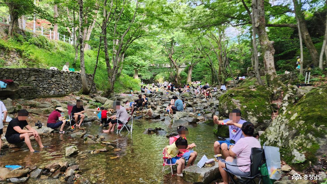 계곡에서 노는 사람들