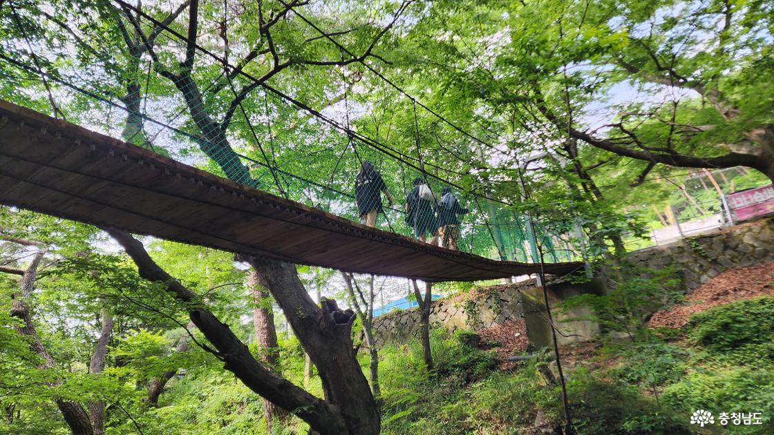 출렁다리