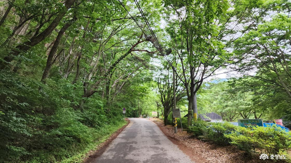 등산로
