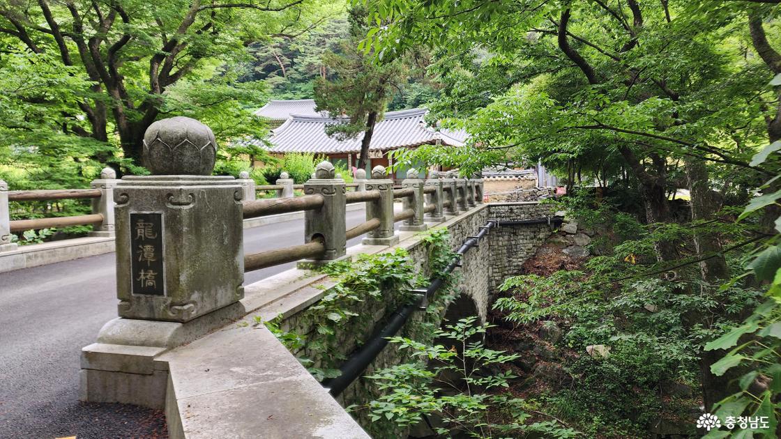 강당사로 이어지는 다리