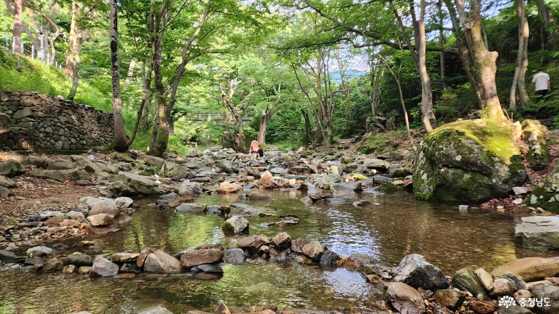 조용한 계곡