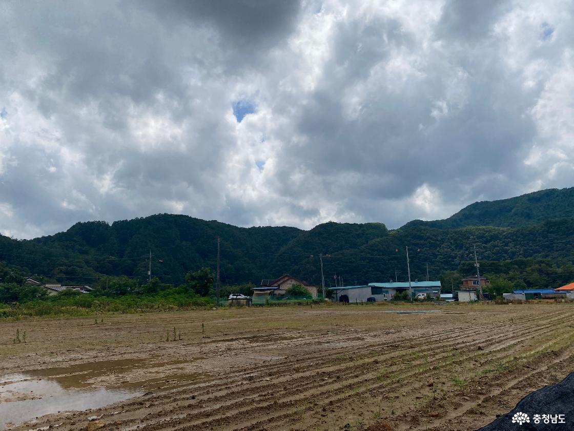 조헌사당앞 산과 밭