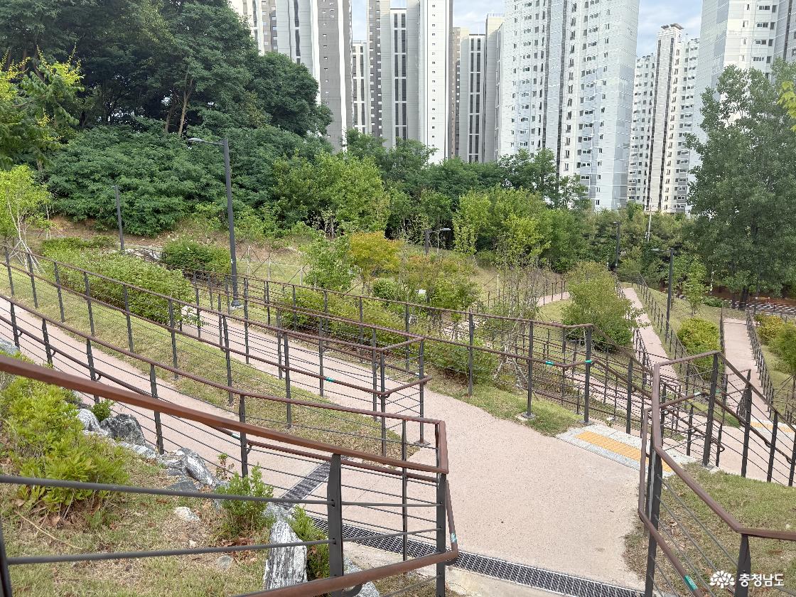 노태산 둘레길 올라가는 길