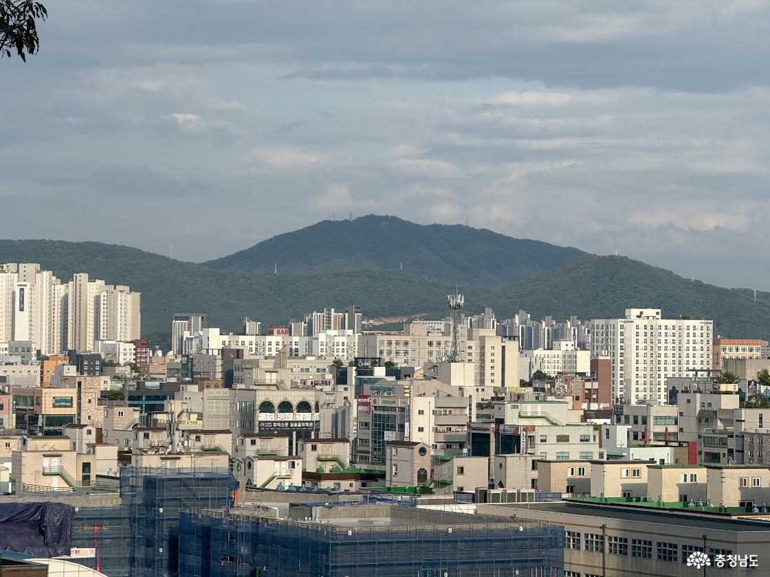 노태산에서 바라본 태조산