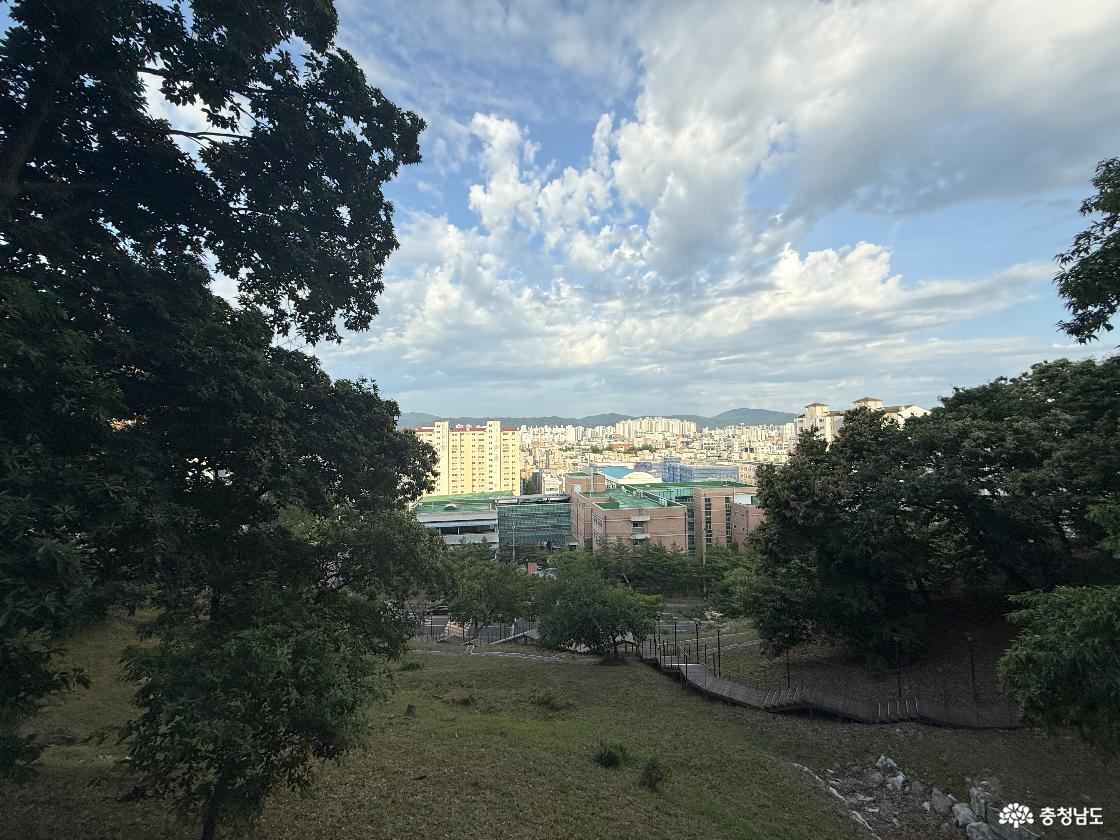 노태산에서 바라본 도심