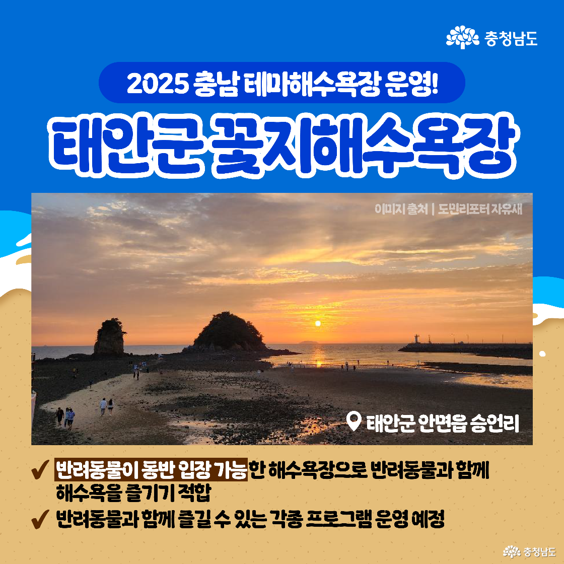 태안군 꽃지해수욕장은 반려동물 동반 입장이 가능하며, 반려동물과 함께 즐길 수 있는 프로그램이 준비된 곳이다. 석양이 지는 바다 풍경이 중심 사진으로 삽입되어 아름다운 노을이 강조된다.