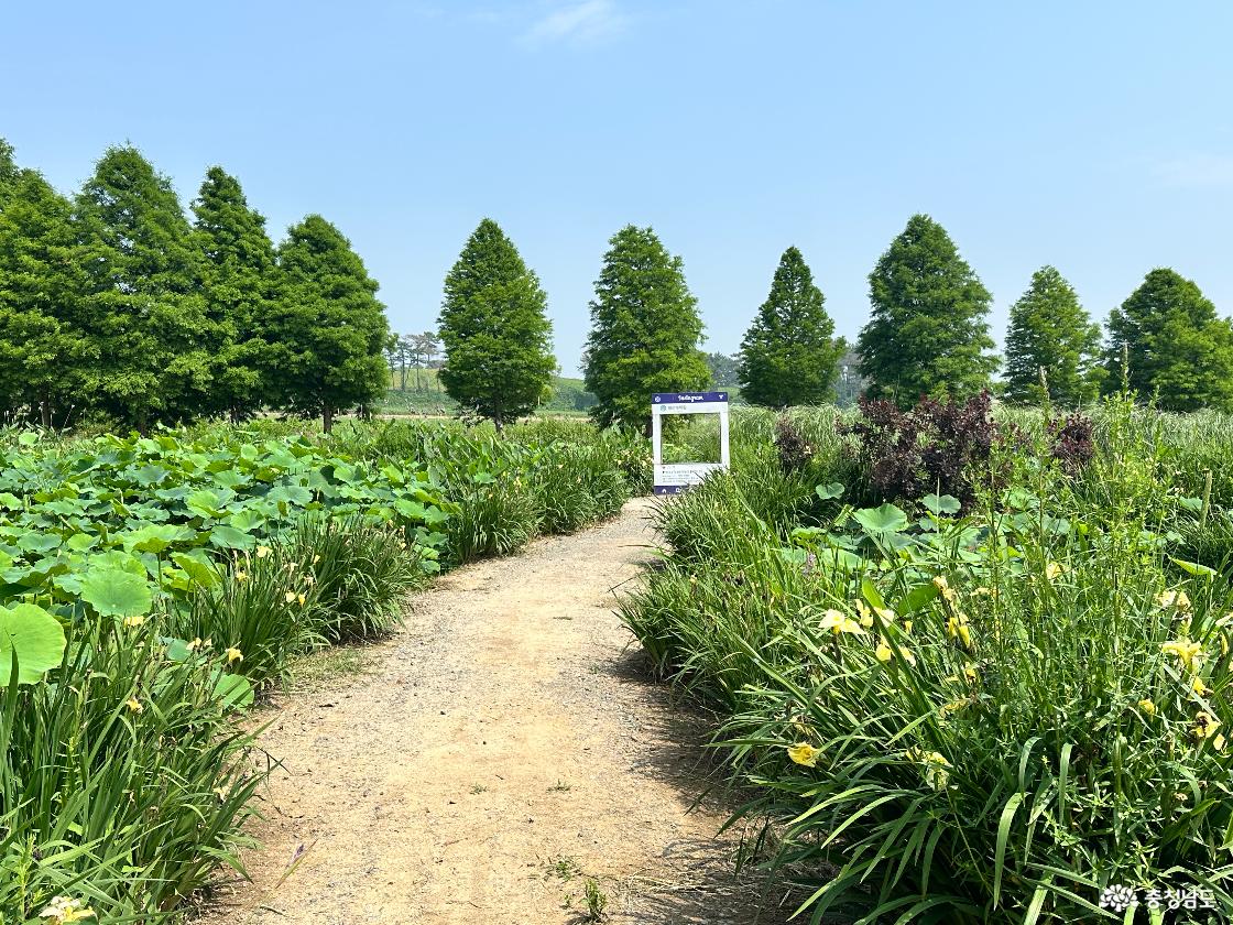 청산수목원 메인포토존