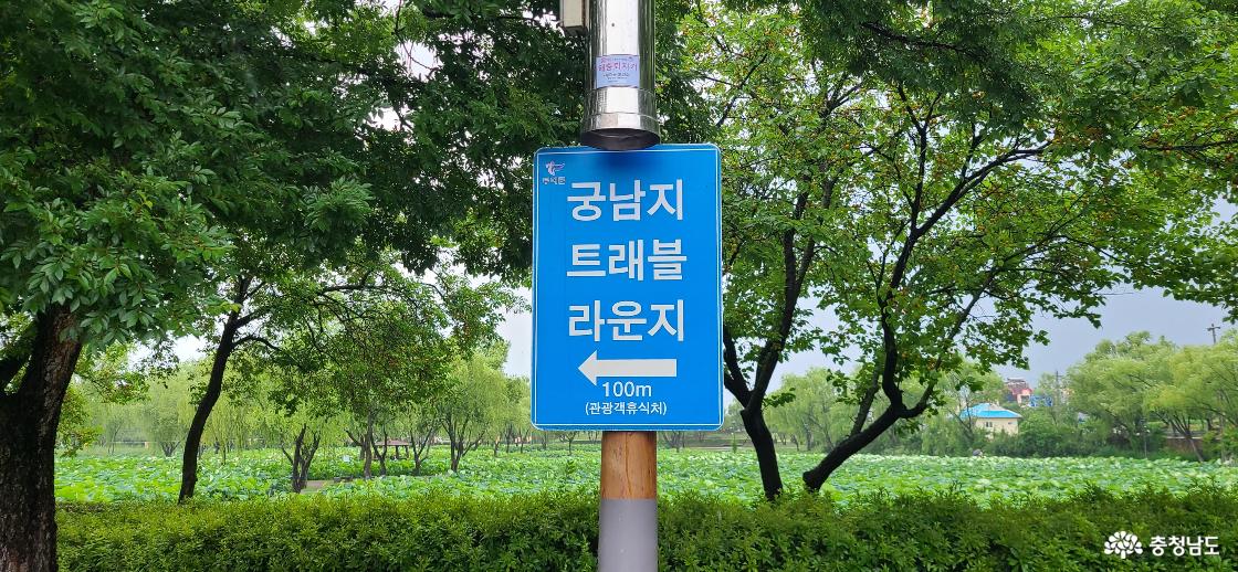 부여궁남지를 배경으로 서있는 파란 궁남지트래블라운지 푯말