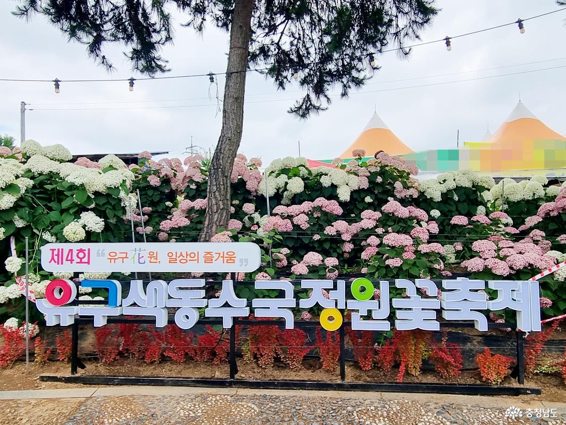 유구 화원 일상의 즐거움, 제4회 유구색동수국정원꽃축제