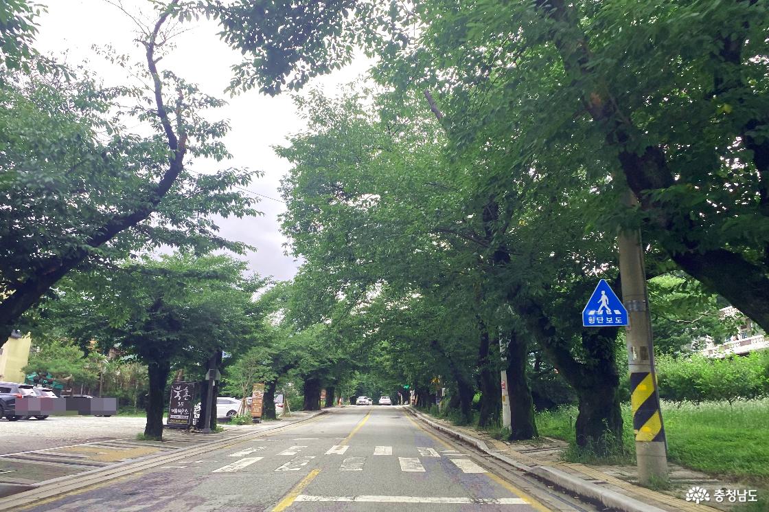 계룡산 국립공원 동학사 지구 올라가는 길