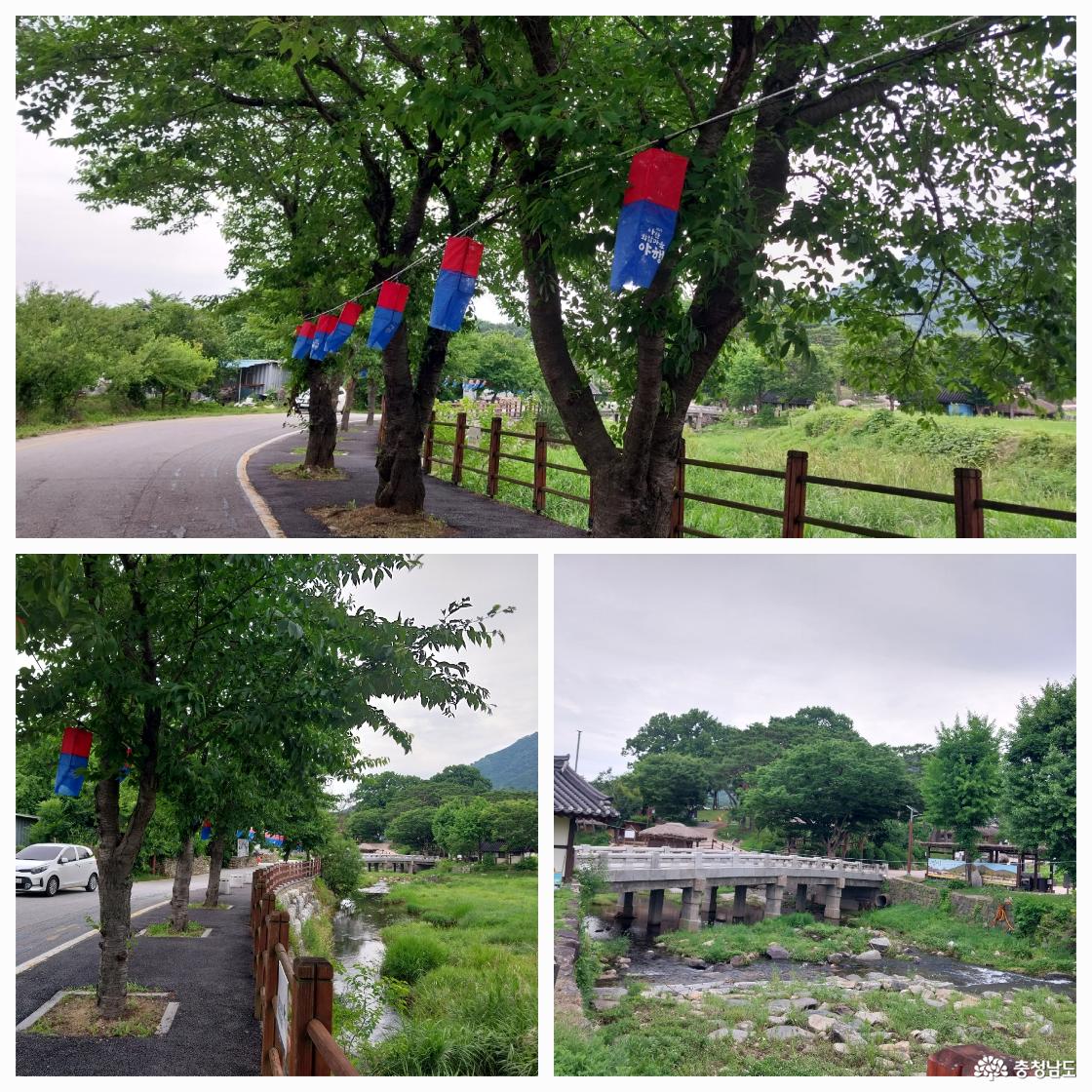 청사초롱 길을 걸으며