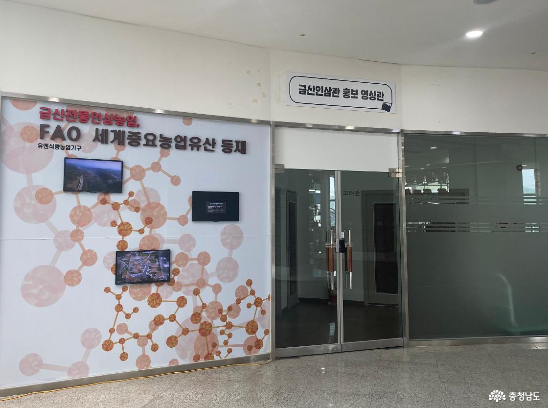 금산인삼관4