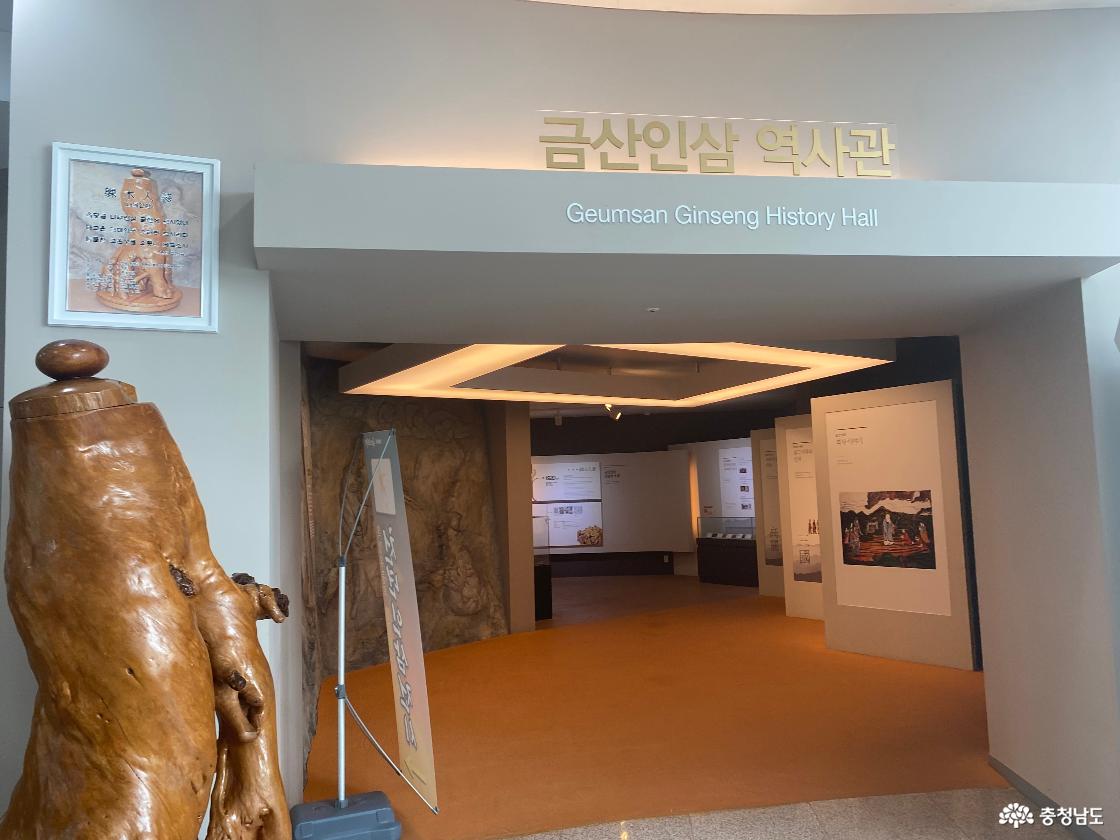 금산인삼관5