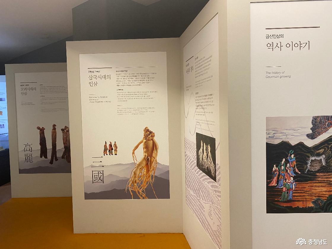 금산인삼관7