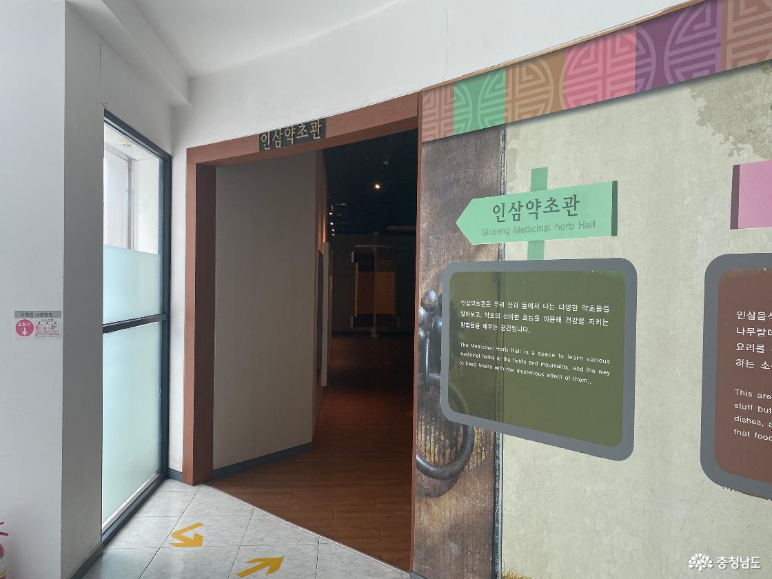 금산인삼관40