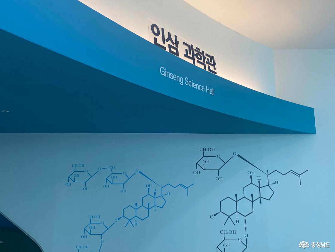 금산인삼관