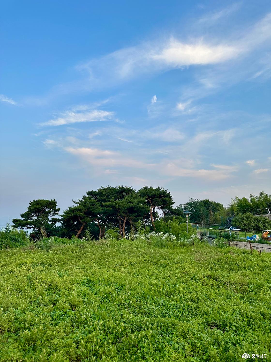 충남 당진 신평 카페 로드1950