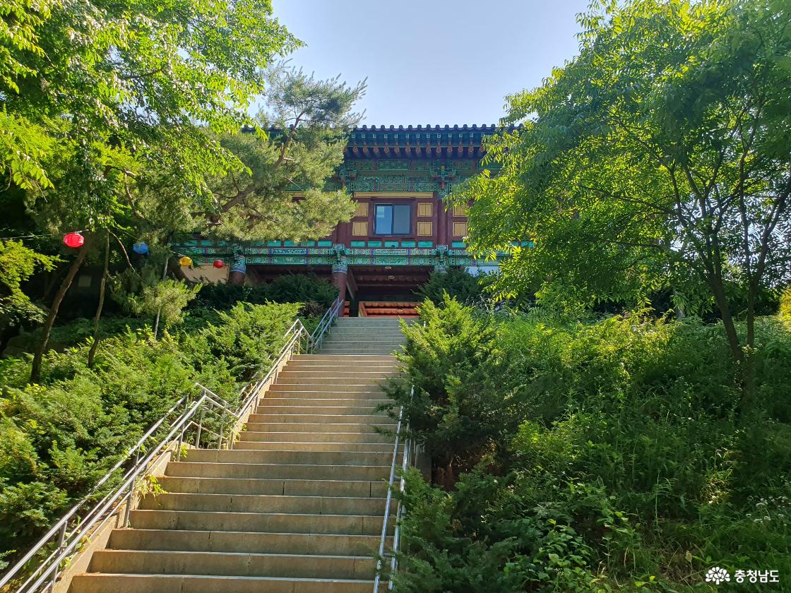 반야루