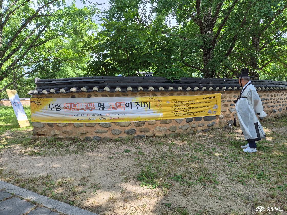 공존의 실천 멋으로 풀다-보령 천년나무 옆 고택의 진미