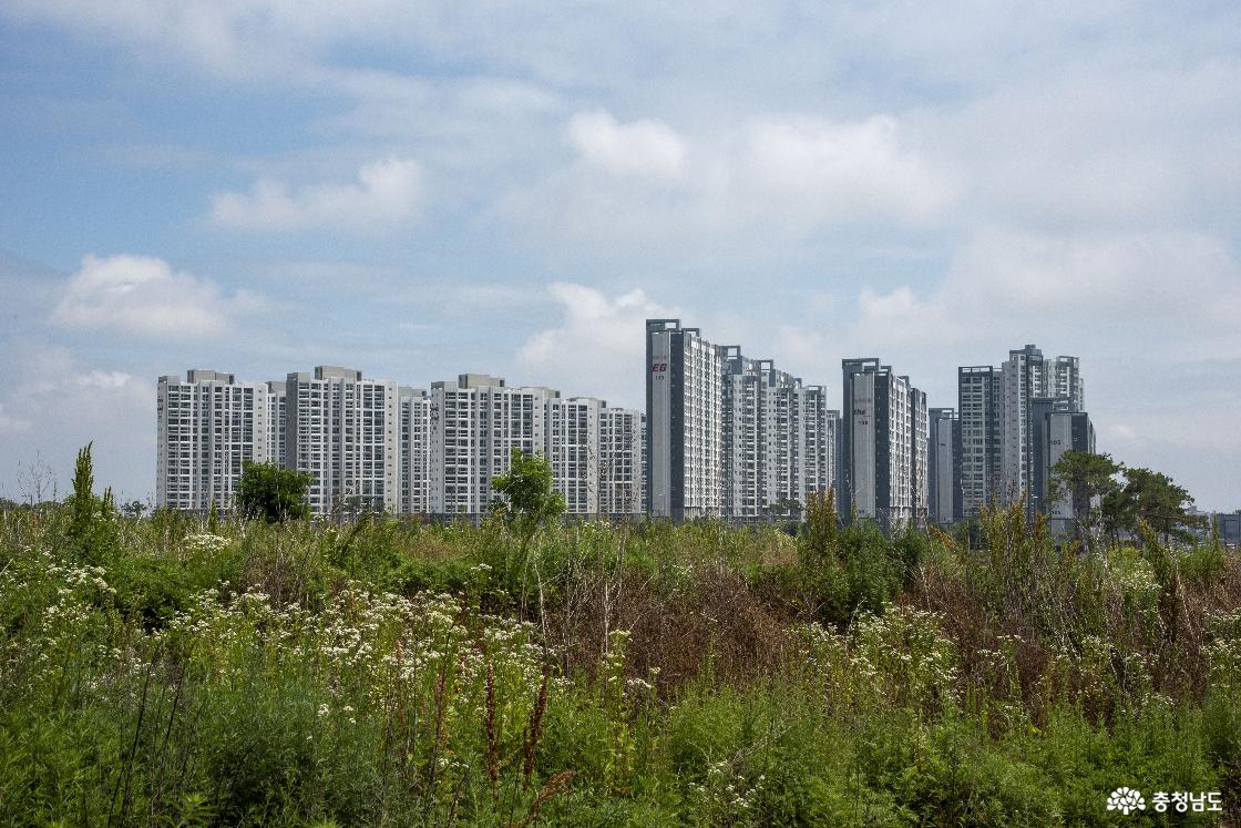 내포 신도시 풍경