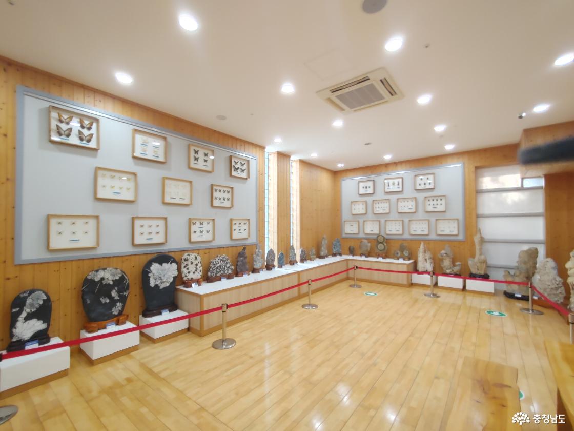 자연석 및 나비 표본 모습