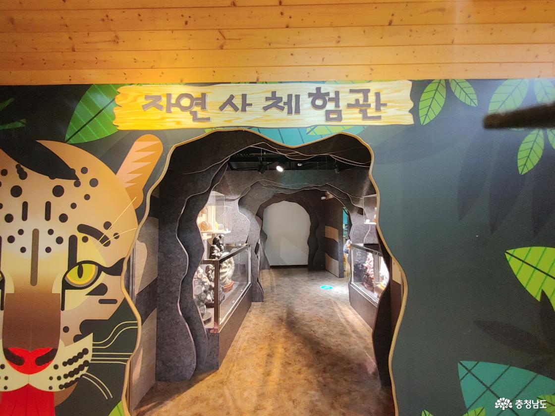 자연사체험관 입구 모습